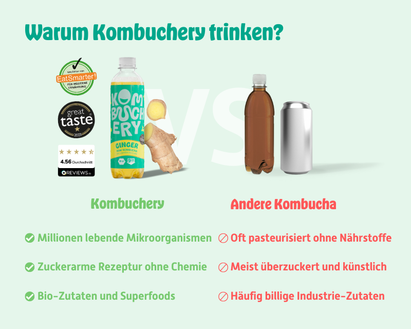 Kombucha Special Bundle 24x 400ml (Einwegpfand)